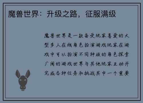 魔兽世界：升级之路，征服满级